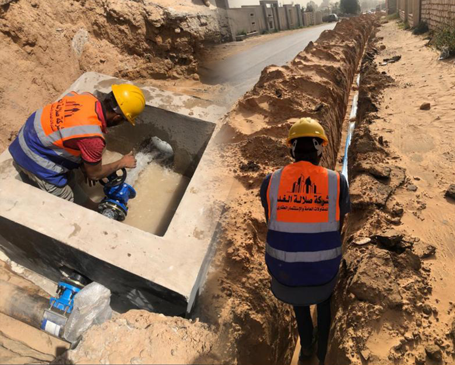 شحن المواشي