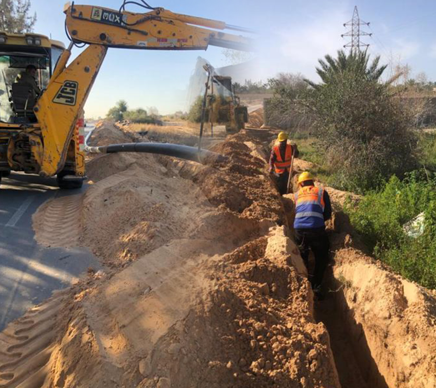 منتجات لحوم ومواشي